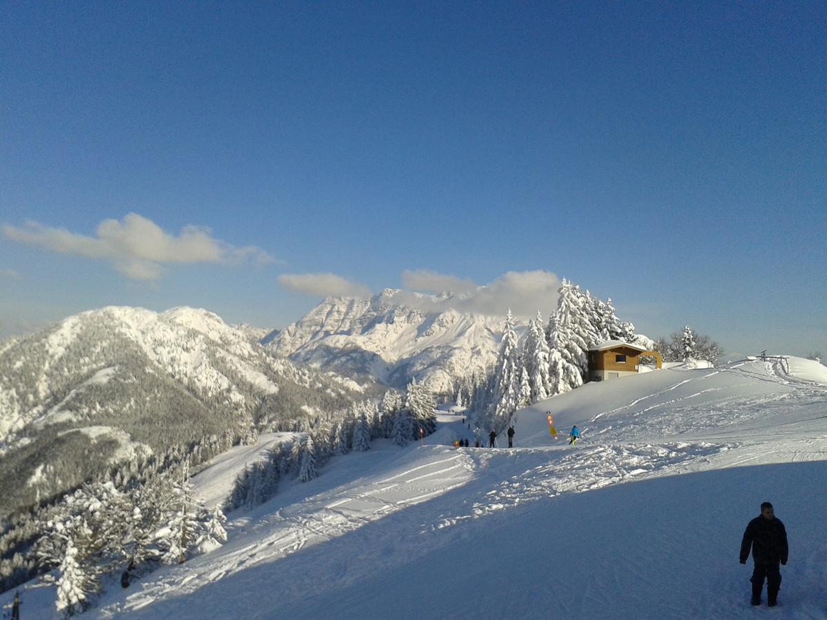 Trixlhof Bed and Breakfast Sankt Ulrich am Pillersee Εξωτερικό φωτογραφία